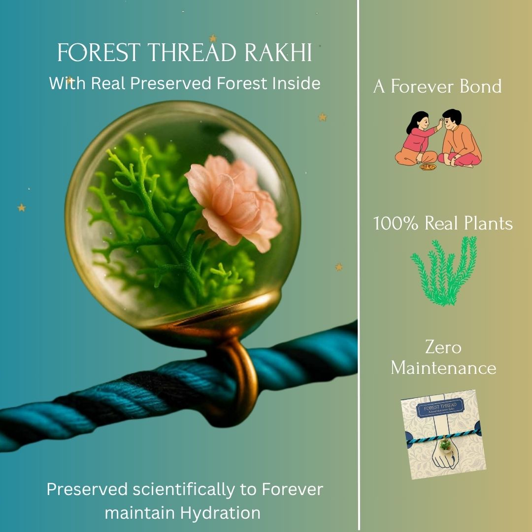 Rakhi+ Roli Chawal- Preserved Forest Plants Rakhi Set