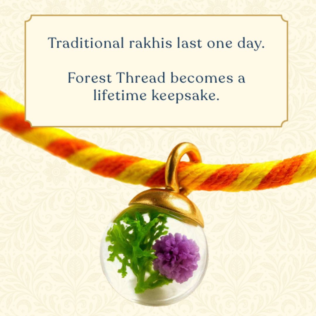 Rakhi+ Roli Chawal- Preserved Forest Plants Rakhi Set