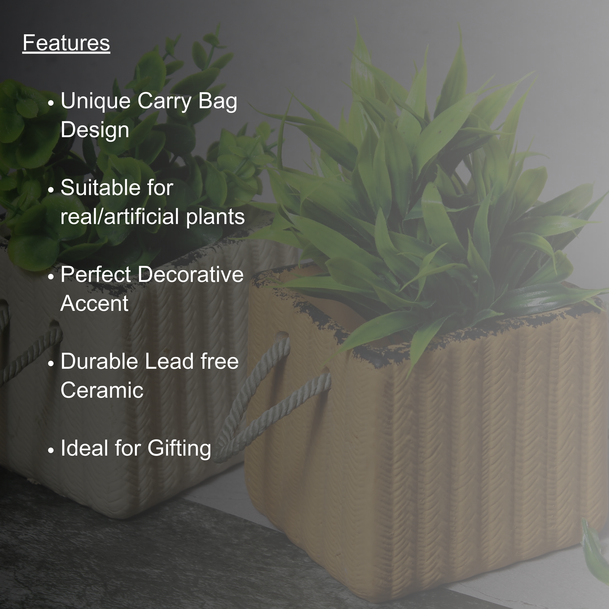 Carry Bag Planters – Unique Ceramic Pots set of 2 Sand & Beige colored planters