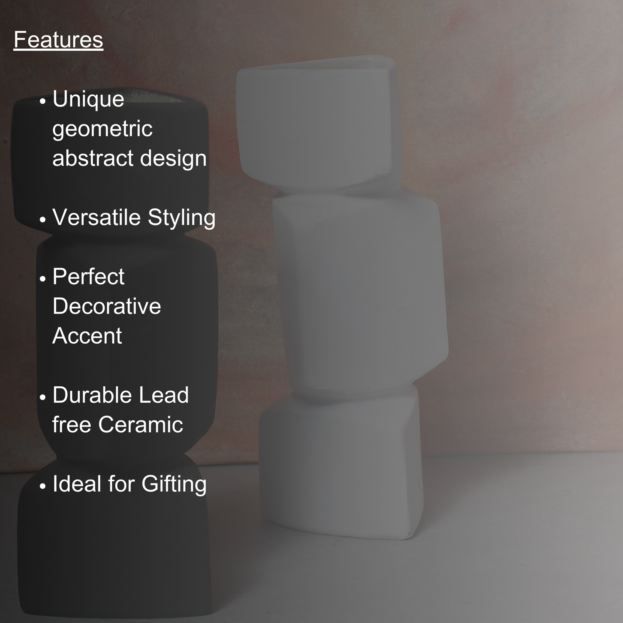 Monochrome Block Vase set of 2 – Abstract Black & White