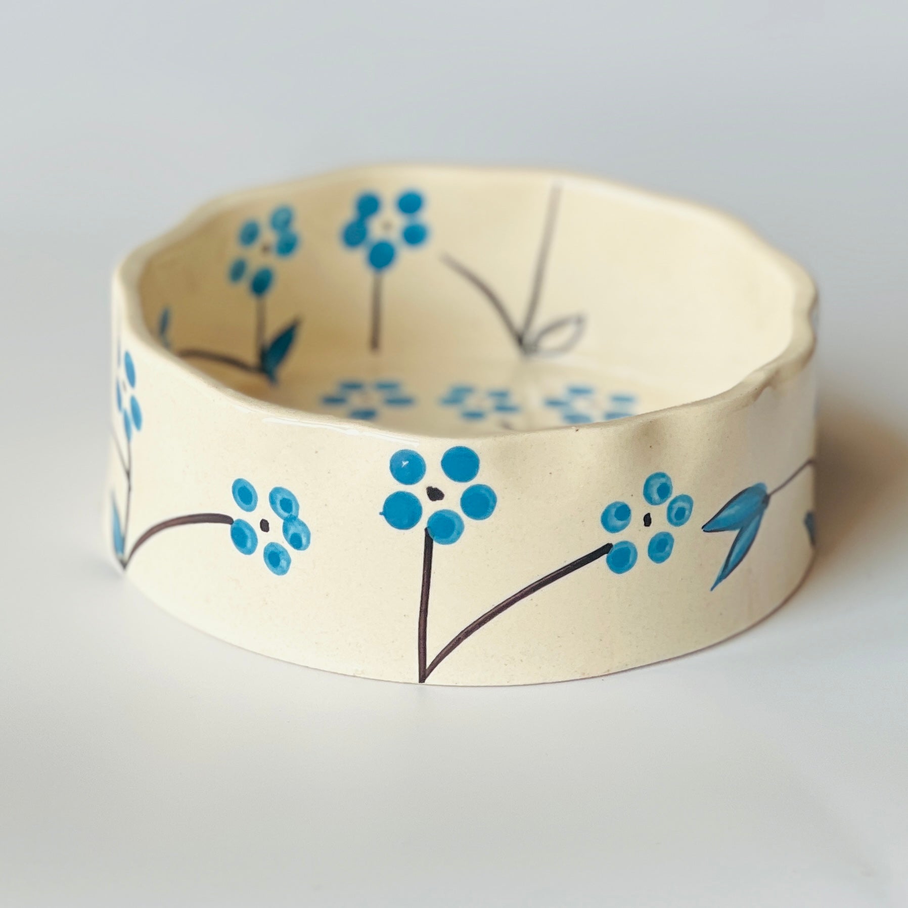 Blue Sakura Breakfast Bowl- Smoothie /Yogurt Bowl