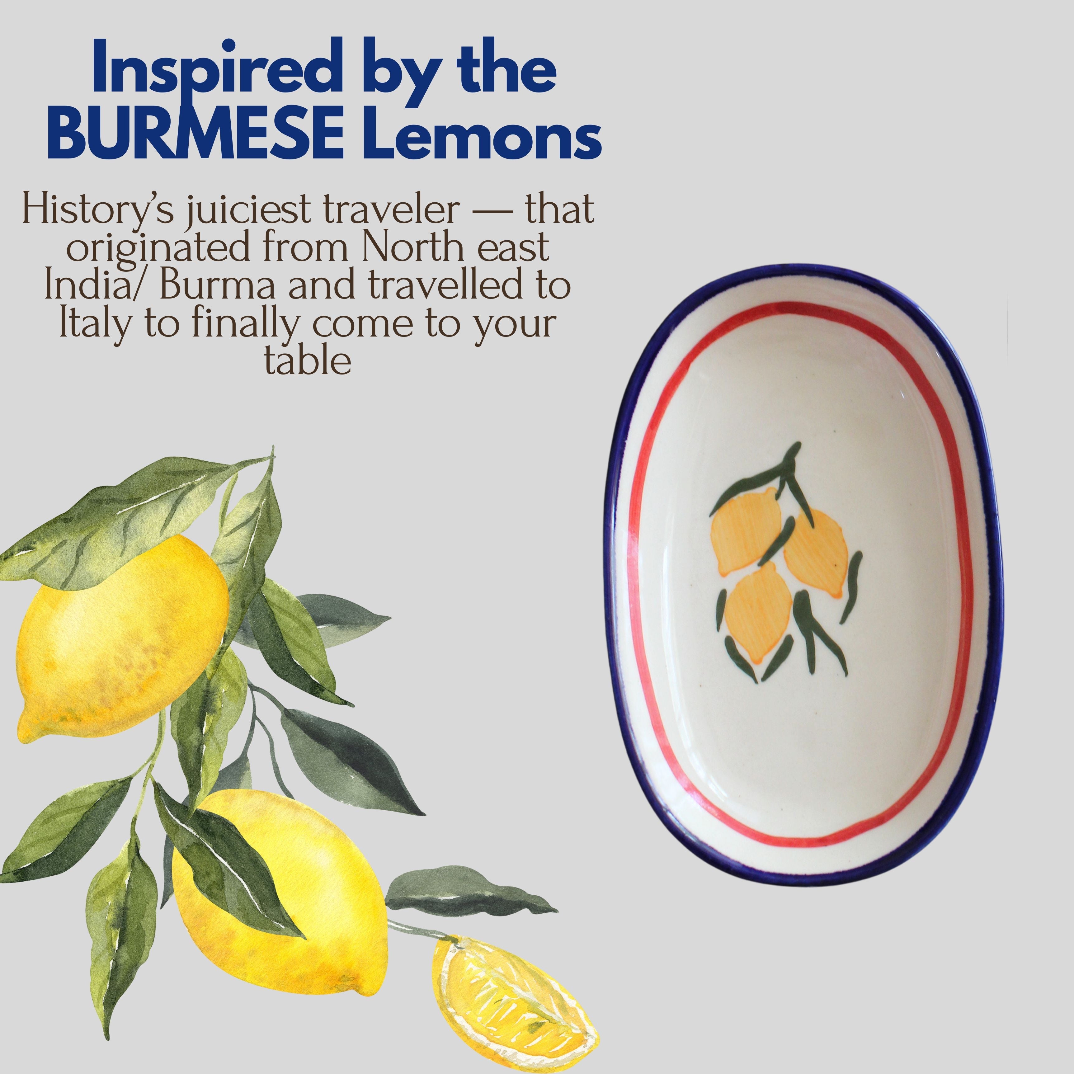 Lemon Zest Deep Plates - Oval Pasta Plates