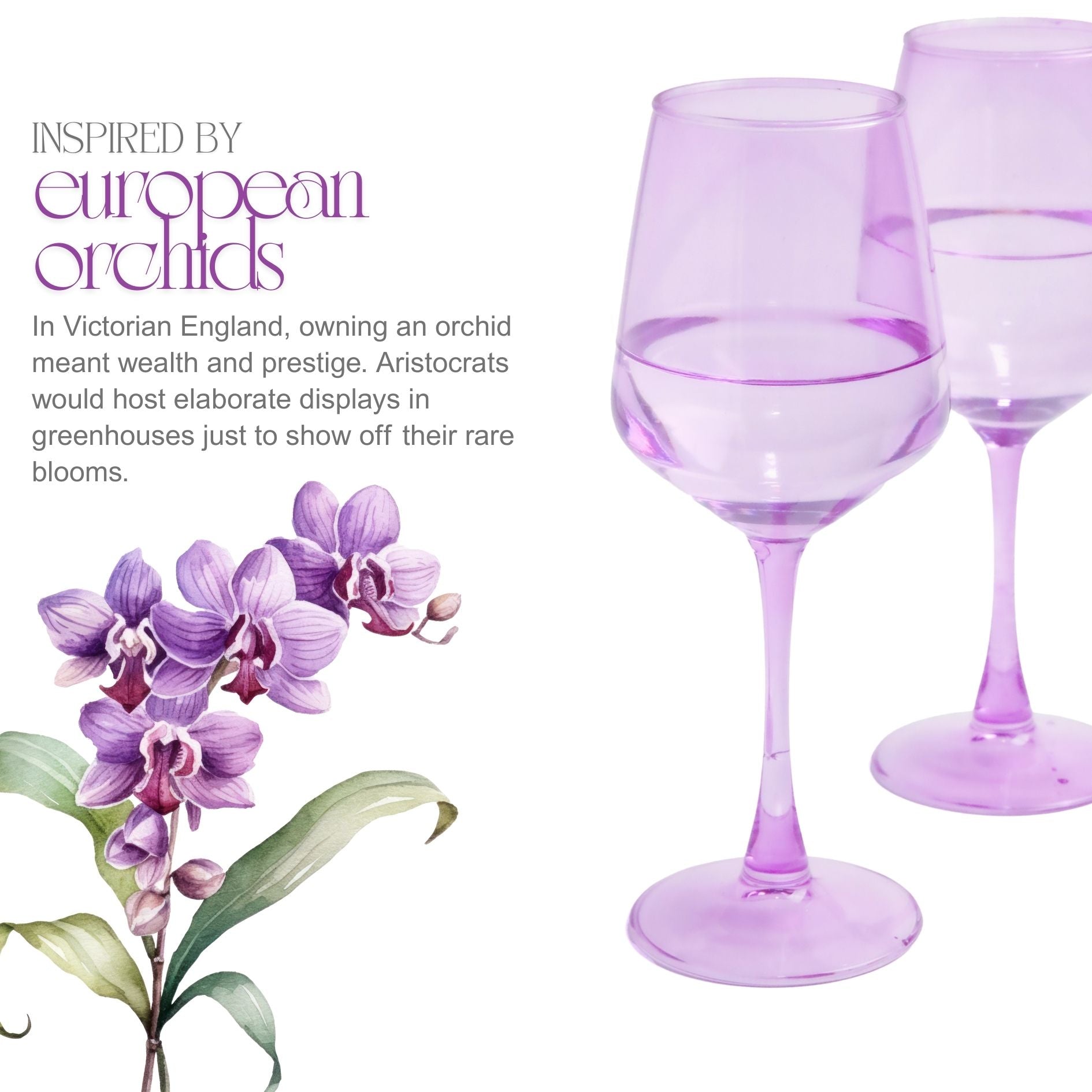 Wine Glass Set - Orchid (300ml) Crystal Glassware