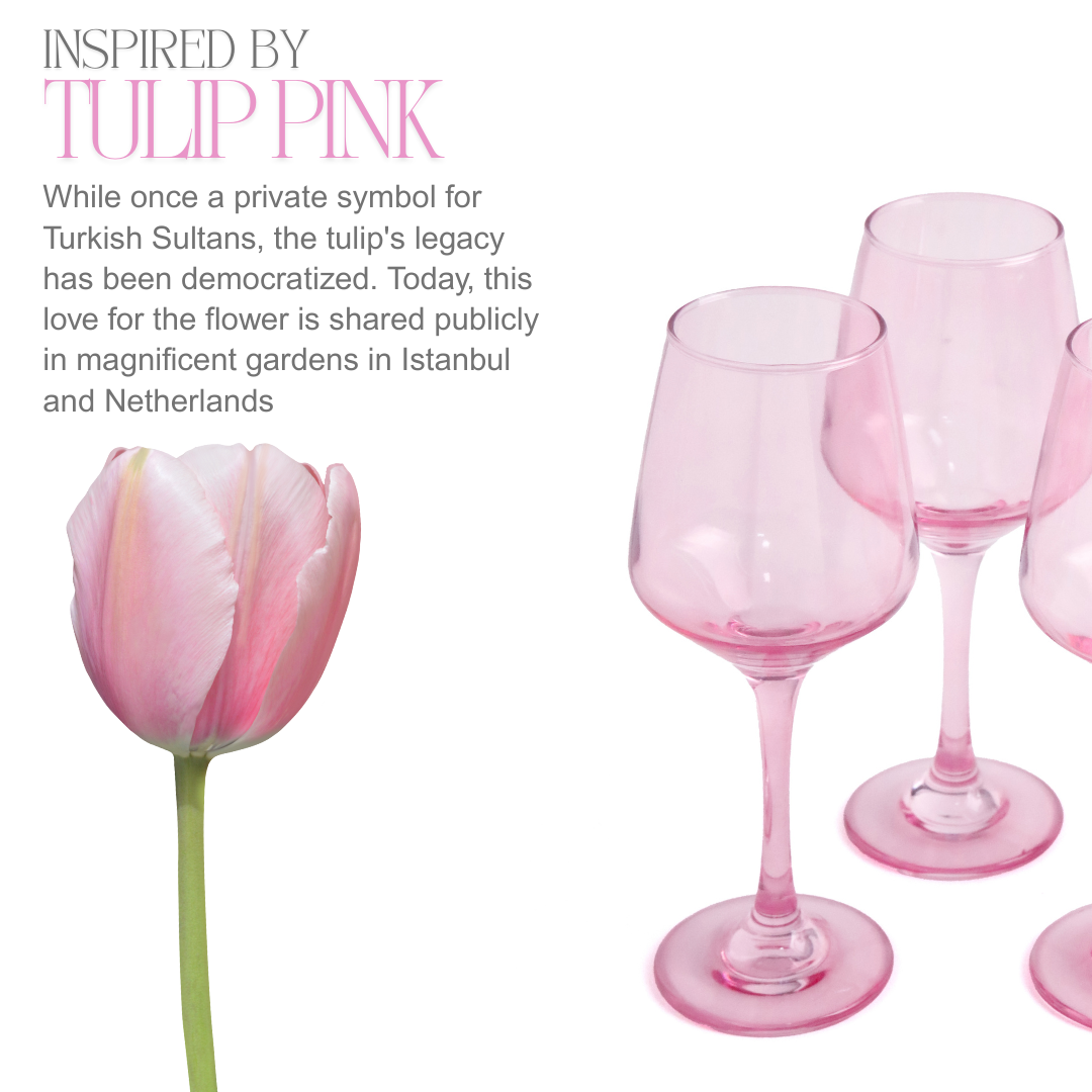 Pink tulip and wine glasses with text about tulips' history.